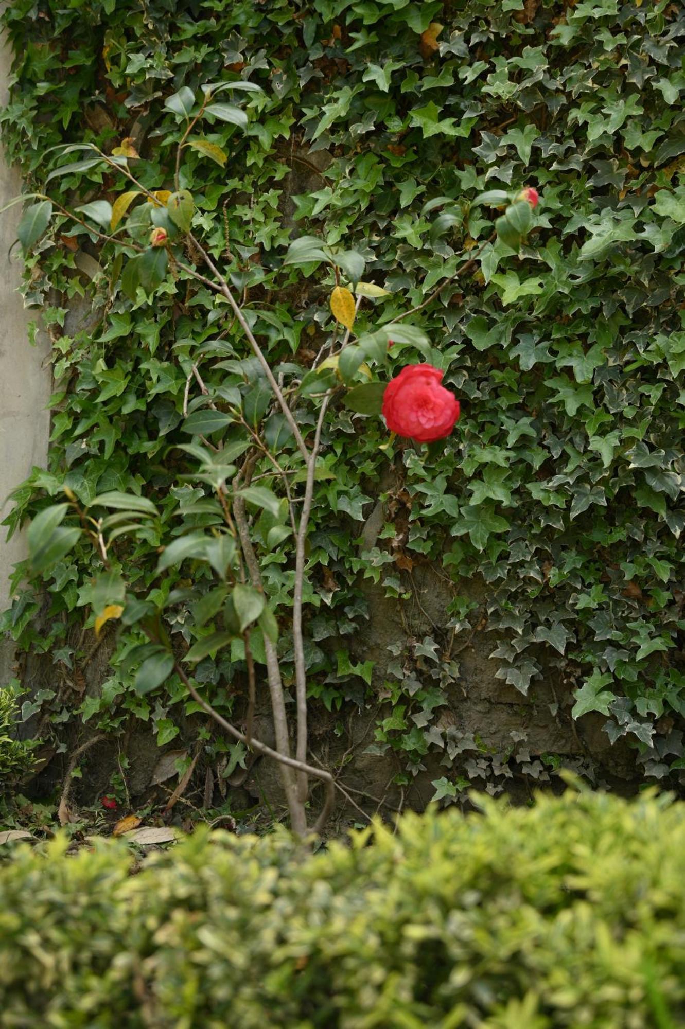 Kabana De Nature Rājgarh Extérieur photo